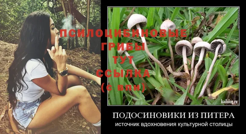 Галлюциногенные грибы Magic Shrooms  Льгов 